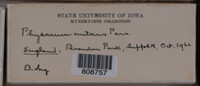 Image Associated With the Occurrence